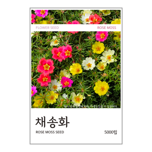 채송화 씨앗 5000립, 1개
