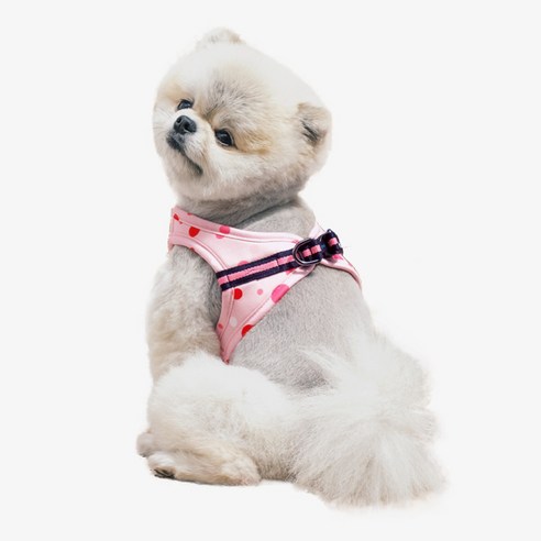 RealPet 강아지 산책 도트 슬림 하네스, 핑크, 1개