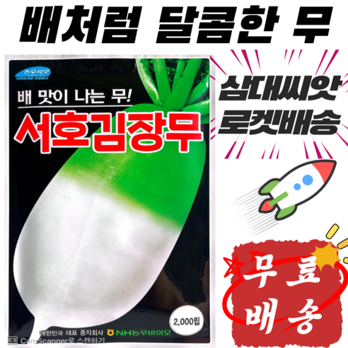 26년햇종자 삼대씨앗 독점 김장무 씨앗 서호김장무 2천립 농우바이오 달콤한 김장무 가을무 씨앗 배맛나는 무 씨앗 배무종자, 1개