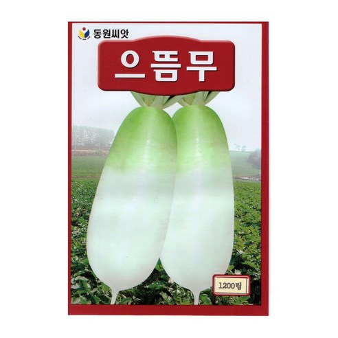 으뜸무 씨앗 무우 씨앗 무우씨앗 무씨앗 무씨 1200알 - 채소씨앗 | 쿠팡