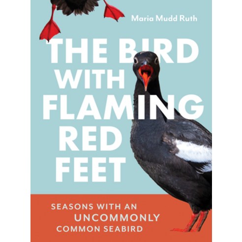 (영문도서)The Bird with Flaming Red Feet: Seasons with an Uncommonly Common Seabird Paperback, Skipstone Press, English, 9781680517255