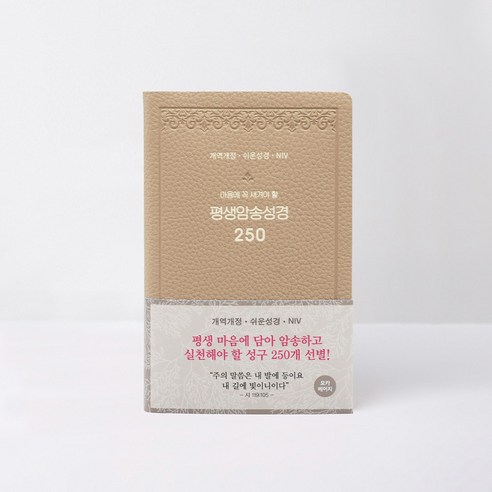 개역개정 평생 암송 성경 250 (쉬운성경 / NIV) 모카베이지, 아가페