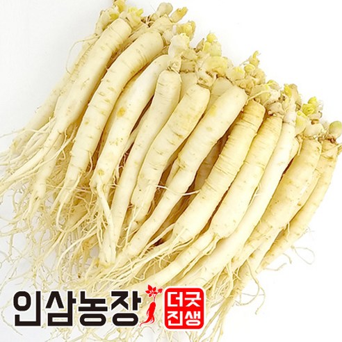 인삼 수삼 금산인삼 세척 원수삼 더굿진생 실사용 후기 | 효과 있을까? 썸네일