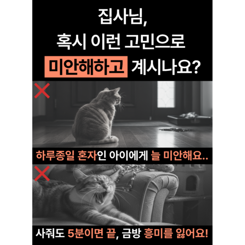스마일플로우 진짜같은 새 고양이 최애 풀세트 튼튼 고정 낚시대 장난감 솔직 후기 | 실사용자 리뷰 분석 - 상품 이미지 3