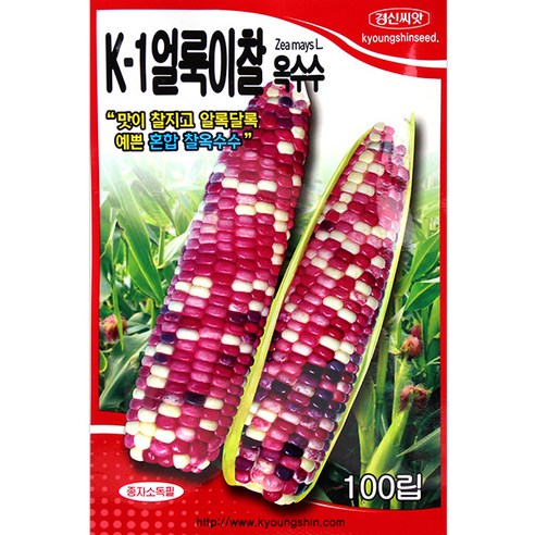 세인화분 K-1 국산 얼룩이 찰옥수수 100립 - 옥수수 씨 씨앗, 1개