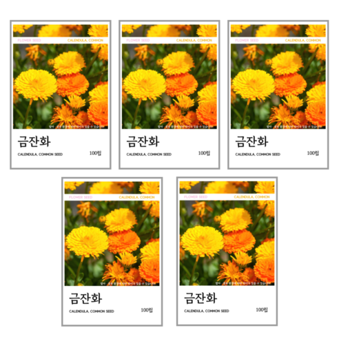 금잔화 씨앗 100립, 5개
