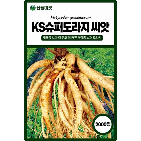 산들마켓 슈퍼도라지 씨앗 2000립 재래종 보다 굵고 더 커진 개량종 보라 꽃 슈퍼도라지 국내산 품종 종자, 1개