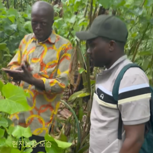 최상급 바닐라빈으로 베이킹의 모든 아쉬움을 달콤함으로 채우세요