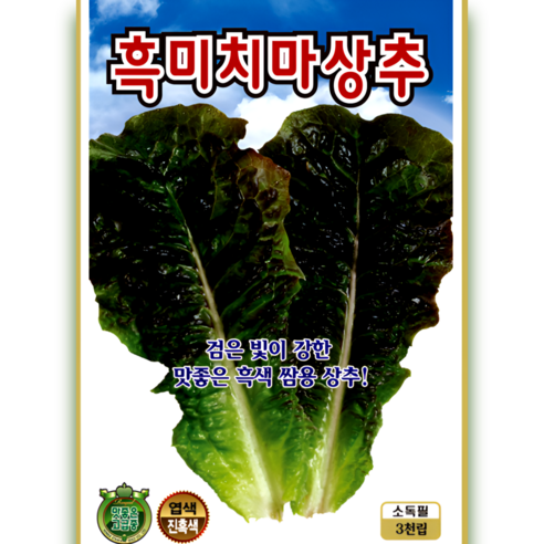 흑미치마상추 씨앗 3000립 진한 흑색 빛깔 쌈용으로 맛좋은 상추 품종 ks, 1개