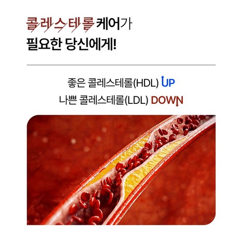 솔티스 콜레스테롤 H/L 15g 30정, 1개 이미지 4