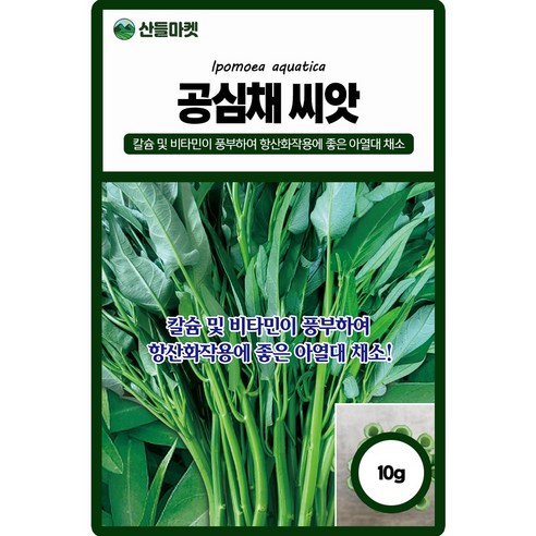 공심채 씨앗 10g 칼슘 비타민이 풍부하여 항산화 작용에 좋은 모닝글로리 종자, 1개