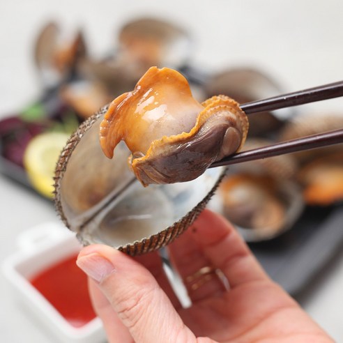 남해안 활 피꼬막 3kg 후기 분석 - 압도적인 크기의 피꼬막 근접 사진