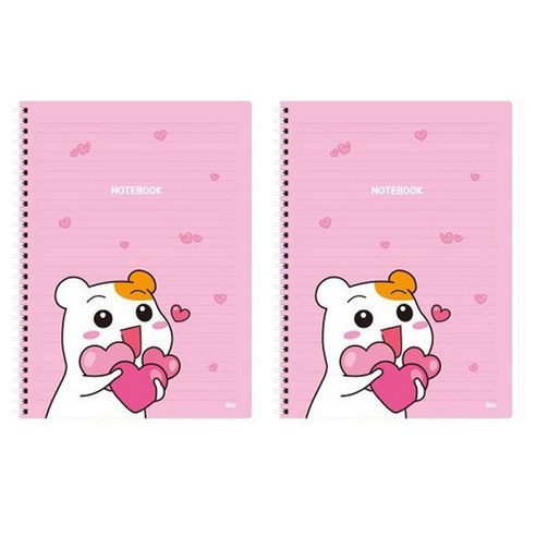 아이비스 에비츄 좌철스프링노트, 하트, 2개