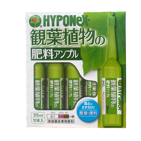 하이포넥스 관엽 식물 앰플 35ml x 10개입, 1개