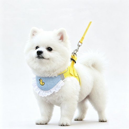 강아지 고양이 턱받이 빛반사 하네스 + 리드줄 세트, 1개, 노랑 오리 B01