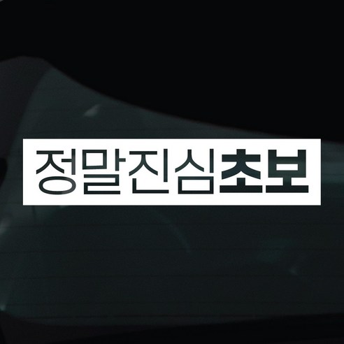 디자인황소 초보운전 스티커 차량스티커 차량 자동차 데칼 시트지, 1개, 10 정말진심초보