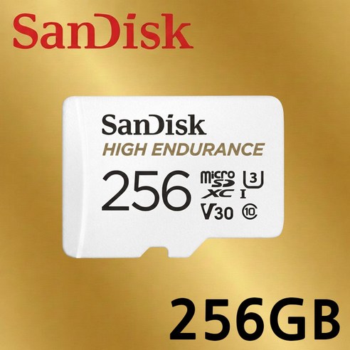 샌디스크 microSD Class10 HIGH ENDURANCE UHS-I U3 V30 블랙박스 메모리카드, 256GB, 1개