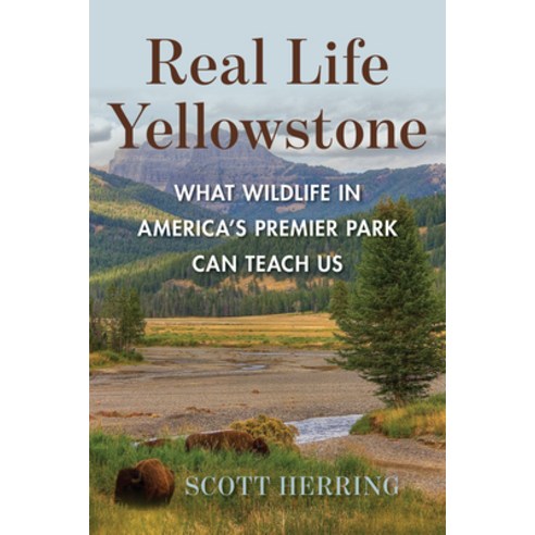 (영문도서)Real Life Yellowstone: What Wildlife in America's Premier Park Can Teach Us Paperback, Riverbend, English, 9781683344667