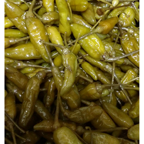 새콤한 매운맛 산고추세트 총1KG 스시 횟집 초밥 일식 산꼬추, 500g, 2개