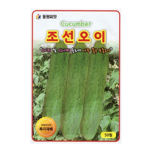 동원 조선 오이 씨앗 50립, 1개