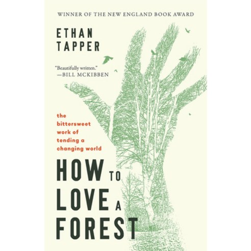(영문도서)How to Love a Forest: The Bittersweet Work of Tending a Changing World Paperback, Broadleaf Books, English, 9798341900196