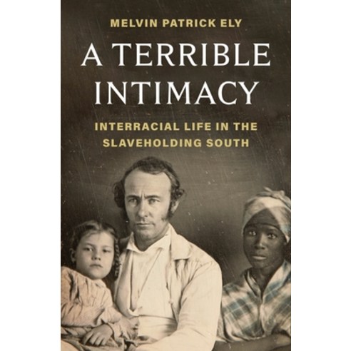 (영문도서)A Terrible Intimacy: Interracial Life in the Slaveholding South Hardcover, Henry Holt & Company, English, 9781250381118