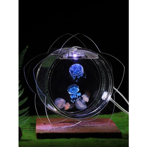 집 안에서 만나는 푸른 바다의 신비로움