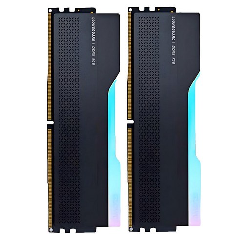 글로웨이 DDR5 용무 시리즈 하이닉스 M다이 RGB 데스크탑 메모리 블랙 6400MHz C32 16GB 2개입, 1세트, GW6400N16G-RM