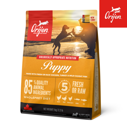 오리젠 강아지 오리지날 건식사료 솔직 후기 | 실제 사용자 리뷰 총정리 - 상품 이미지 3