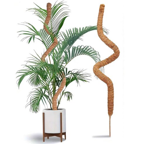 몬스테라 슬림 수태봉 넝쿨 식물 화분 리스 지지대 120cm, 1개