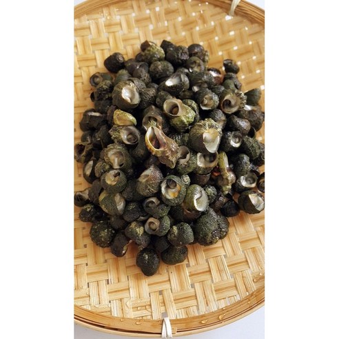 제주 보말 하나로 간편하고 맛있는 식탁을!