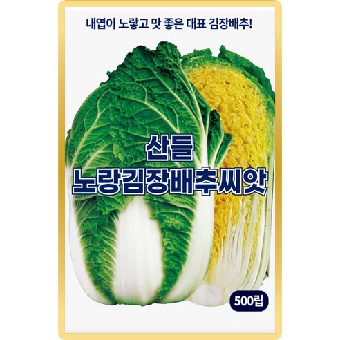 산들 노랑김장 배추씨앗 500립 내엽이 노랗고 맛 좋은 대표 김장배추씨 종자, 1개
