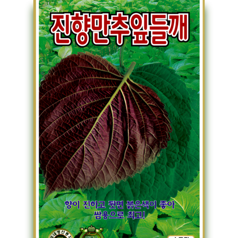 진향만추잎들깨 향이 진한 쌈용 잎들깨 씨앗 15g ks, 1개