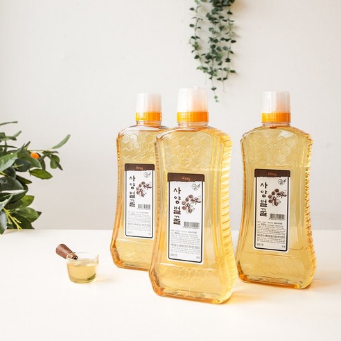 국내산 사양벌꿀 대용량 업소용 사양꿀 2kg, 1개 이미지 4
