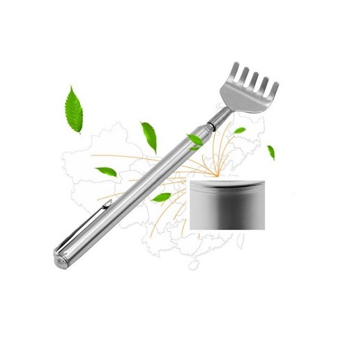 스테인레스 만년필 효자손, 1개