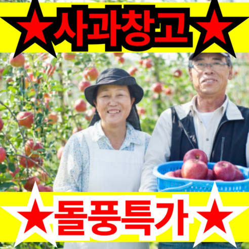 [비밀창고 개방] 놓치지마특가 못난이사과 국민께감사 고당도 보조개 사과, 10kg, 1박스