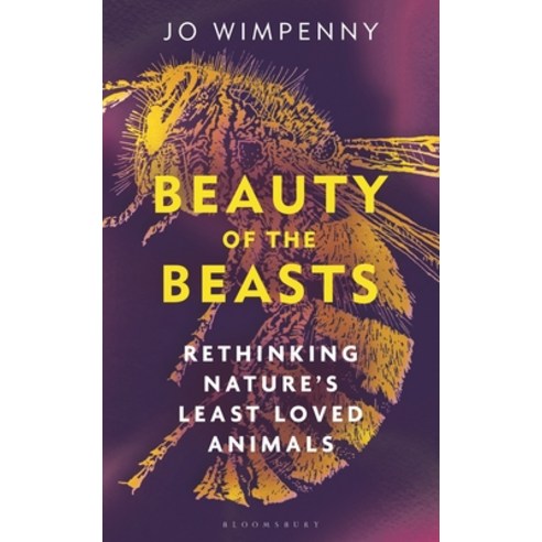 (영문도서)Beauty of the Beasts: Rethinking Nature's Least Loved Animals Hardcover, Bloomsbury Wildlife, English, 9781399417617