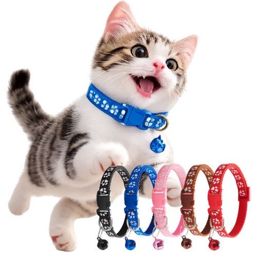 로로포우 고양이 목걸이 방울 딸랑이, 1세트, 혼합색상B