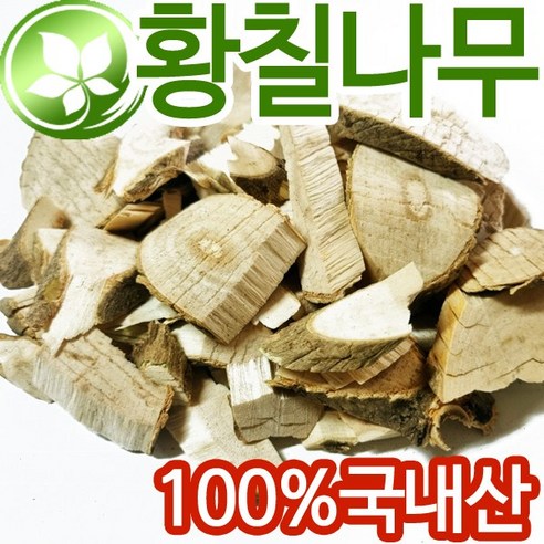 국산 황칠나무 600g 30~40년이상 자란 황칠 맛있게 먹은 솔직 후기 썸네일