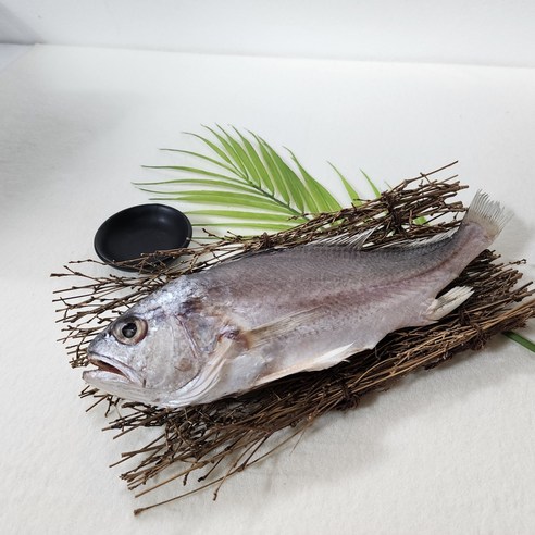 귀찮음은 덜고 맛은 살리는 반건조 조기