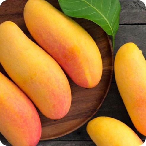 여름 햇살 가득 담은 망고, 더 이상 아쉽게 즐기지 마세요 무지개망고 여름 햇살 가득 담은 망고, 더 이상 아쉽게 즐기지 마세요 무지개망고