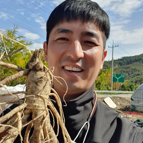 금산인삼 오쿠용 1회분 세척 인삼 수삼 난발 원삼(250g) 이미지 2