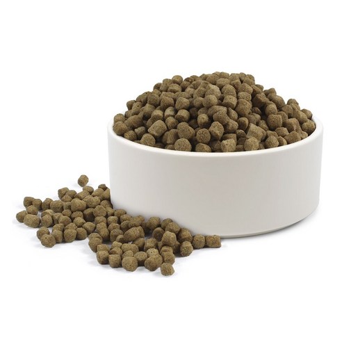 진도백서 강아지사료(성견용) 이미지 2