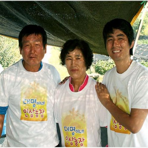 인삼수삼 대삼계삼 25뿌리내외 750g 삼계탕용 대명이네인삼 이미지 4