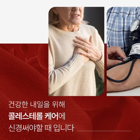 솔티스 콜레스테롤 H/L 15g 30정, 1개 이미지 2