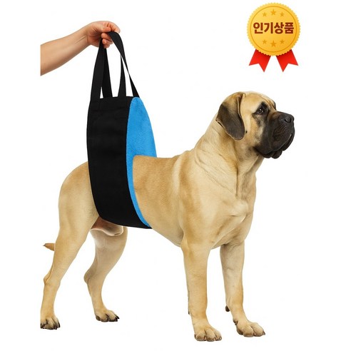 스마트픽 대형견 뒷다리 보조 슬링 하네스 강아지 뒷다리 보조기 노견 이동 보조 리프트, 블루, 1개