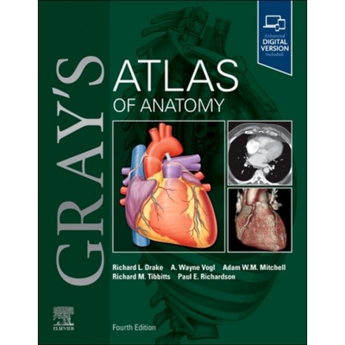 (영문도서)Gray's Atlas of Anatomy Paperback, English, 9780443284663, Elsevier
