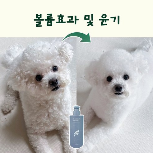 아이오콤마 PDRN 천연 저자극 고보습 비듬 각질 습진 강아지 샴푸 솔직 후기 | 실제 사용자 리뷰 총정리 - 상품 이미지 4