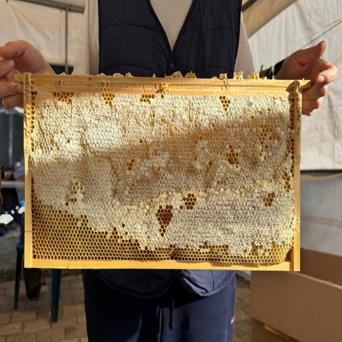 자연동행 100% 국내산 강원도 홍천 벌집꿀 천연 밀랍 요아정 벌꿀 집 250g, 1개 이미지 2