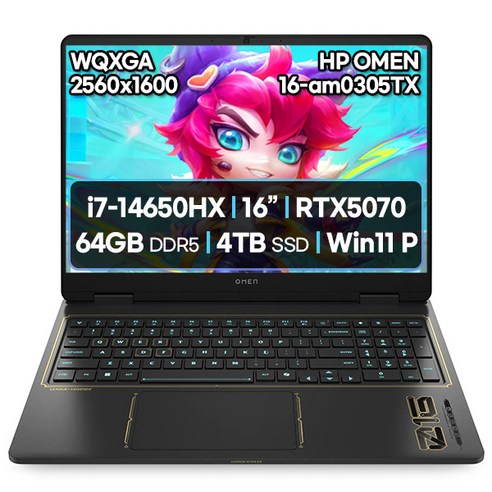 HP 2025 오멘 16 코어i7 인텔 14세대 지포스 RTX 5070, OMEN 16-am0305TX, 윈도우 11 프로, 64GB, 4TB, Shadow Black